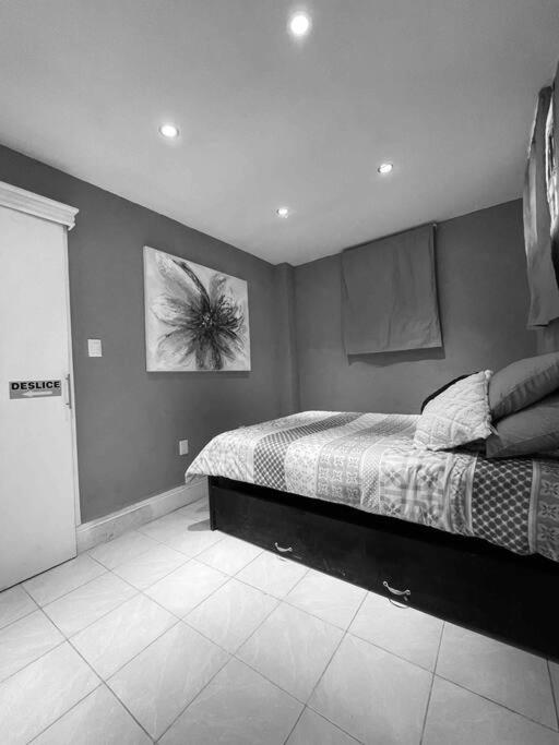 Apartmán Departamento Centro Historico De Tampico Exteriér fotografie